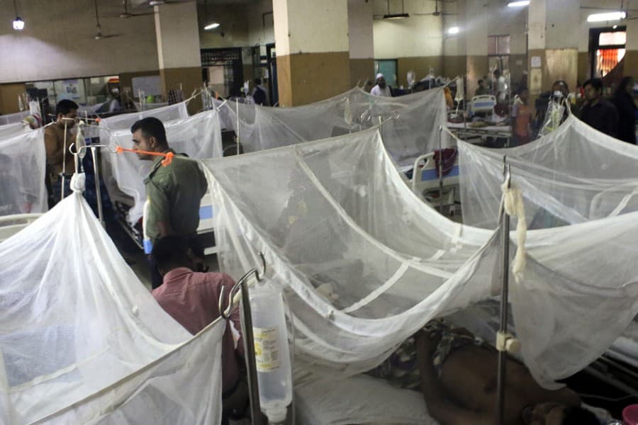 634 new dengue patients hospitalised in 24hr