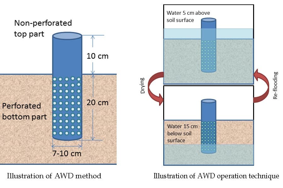 Smart irrigation technology for sustainable agriculture