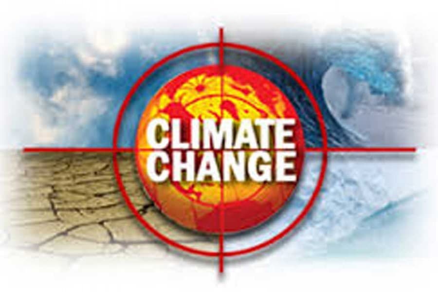 COP25 and climate-anxiety: What can be done?
