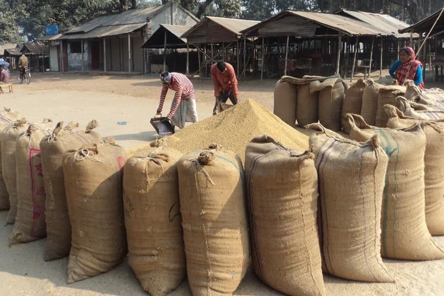 Policy that fattens up rice millers