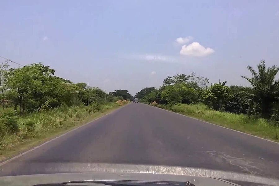 Bangladesh authorities draft landscape policy on planting roadside trees