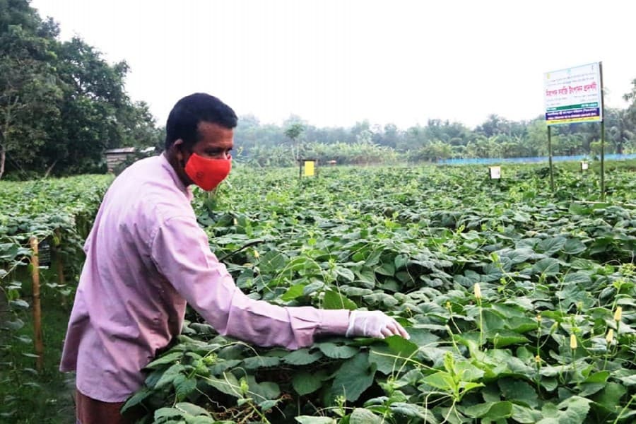 IFAD to provide $18m to rebuild microenterprises, support smallholders in Bangladesh