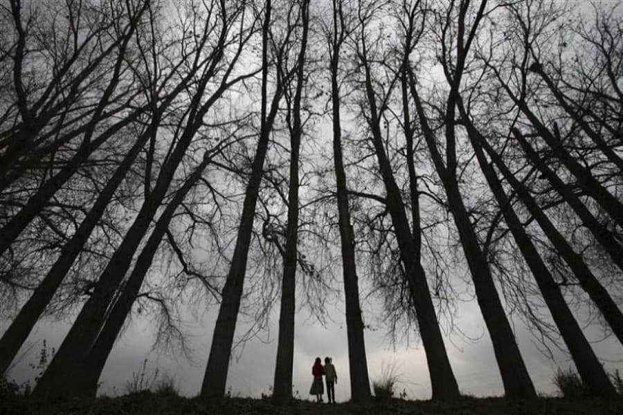 In search of mental peace through practice of mindfulness