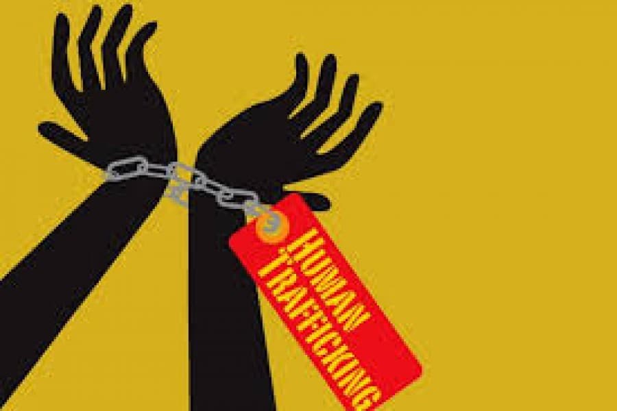 694 human trafficking survivors receive assistance under ‘Ashshash’ project