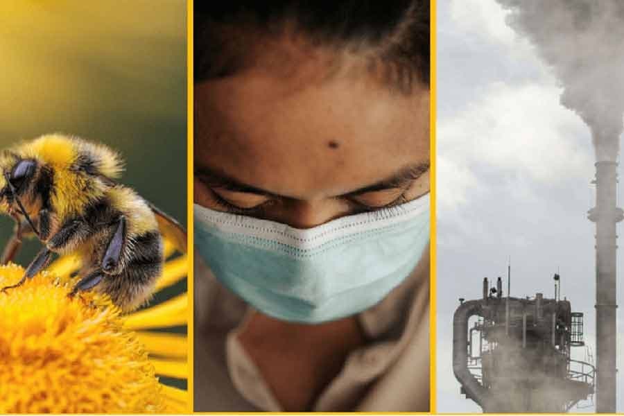 Addressing climate crises to tame pandemic