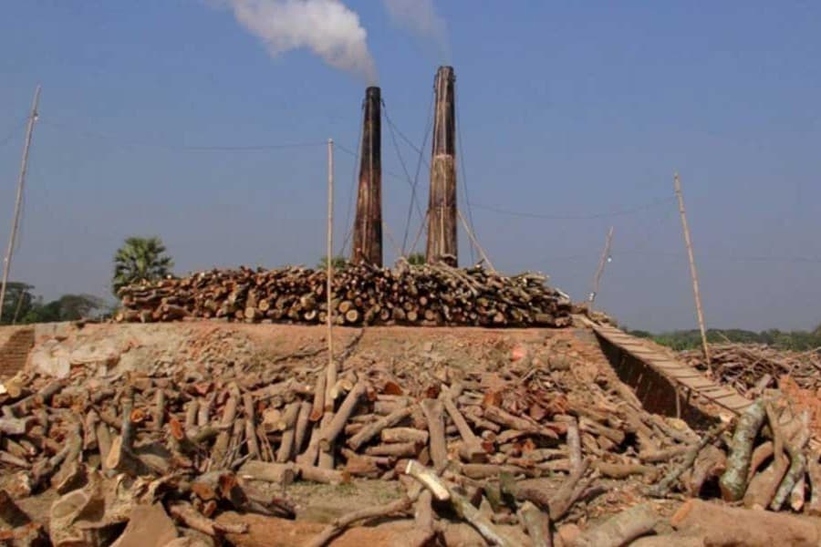 HC directs to shutdown illegal brick kilns in three districts of CHT FE ONLINE REPORT