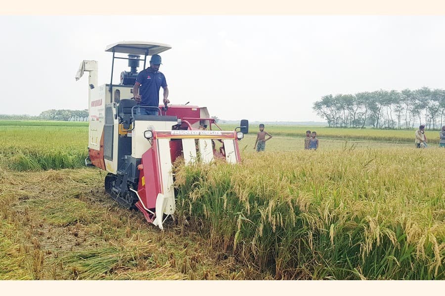 Labourer shortage, high wages worry Boro farmers