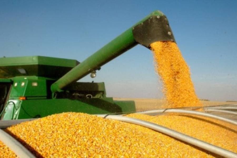 Ukraine needs to export 50m tons of grain this year