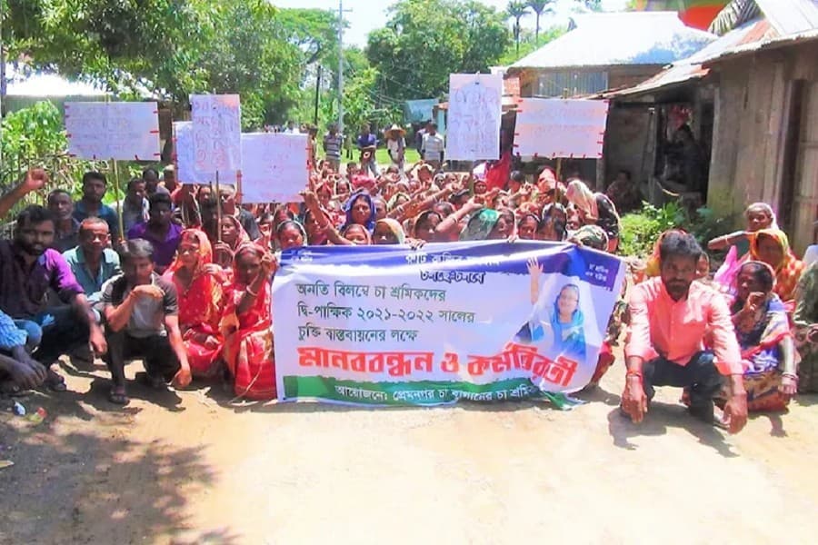Tea workers want PM's intervention as owners propose Tk 20 wage hike
